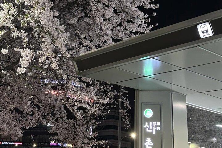Seoul City Cherry Blossom Private Sightseeing Tour