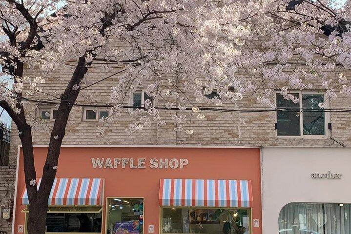 Seoul City Cherry Blossom Private Sightseeing Tour