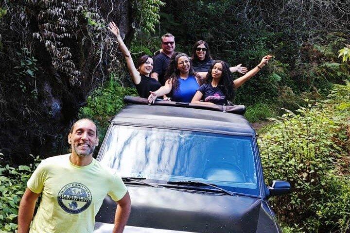 Madeira: Experiência 4WD Skywalk para Seixal Porto Moniz, Fanal