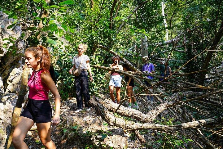Tham Phay cave expedition & Jungle trekking 4 days 3 nights