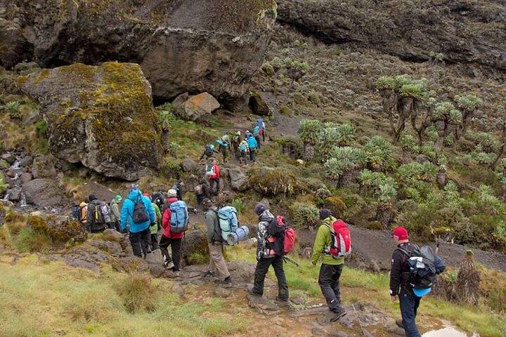 Three Days Mount Kilimanjaro Hiking Private Tour on Marangu Route