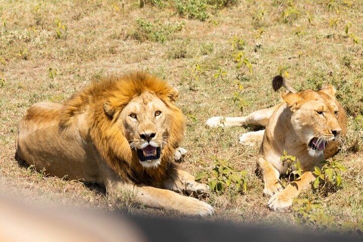 4-Day Tanzania Safari Tour
