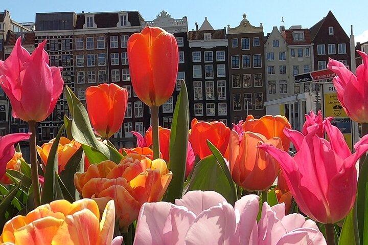 Amsterdam Highlights and Hidden Gems Walking Tour with Fun Guide