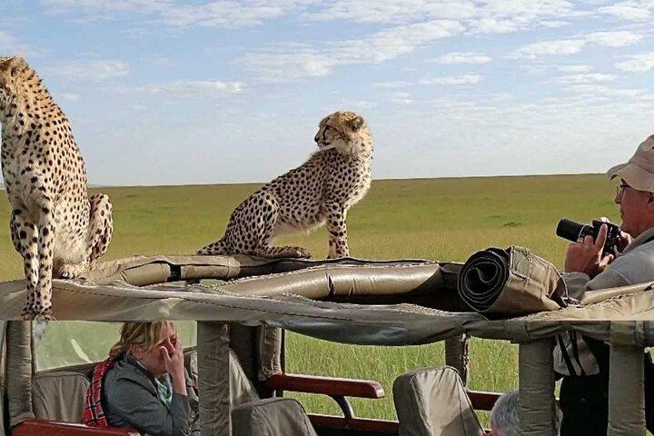 5-Day Affordable Wildlife Safari in Kenya