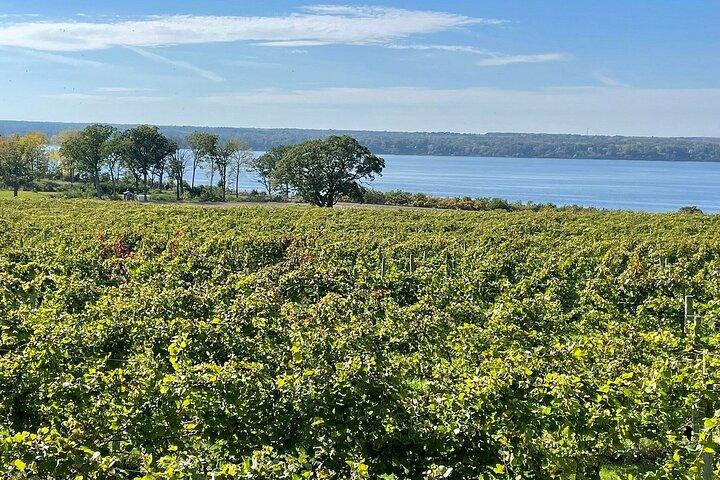 6 Hour Private Wine Tour - Check website for availability