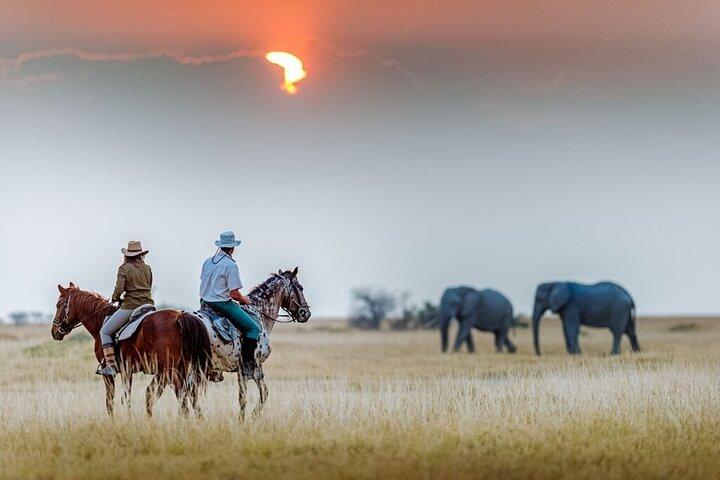 5 Days Tanzania Exclusive Luxury Lodge Safari