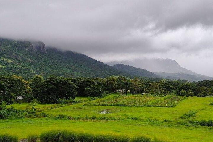 Fiji Private Tour: Best of Nadi Highlights