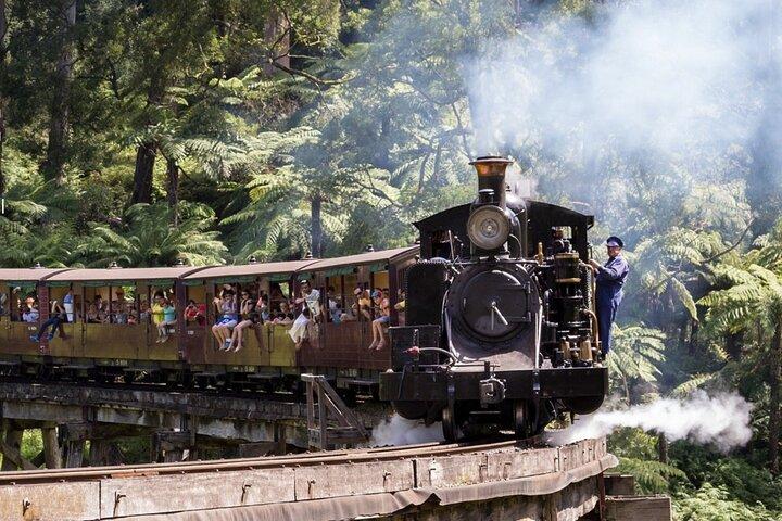 Puffing Billy Train and Phillip Island Penguin Parade Day Tour