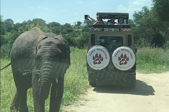 4-Days Adventure Camping Safari to Tarangire, Serengeti & Ngorongoro