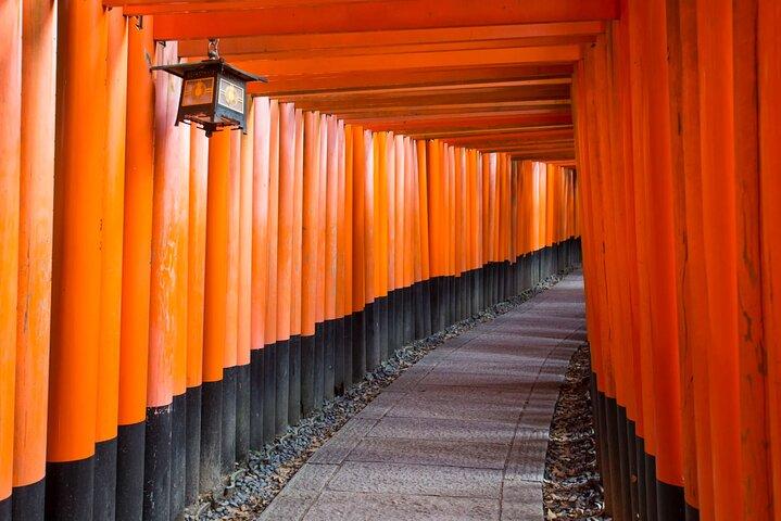 Kyoto & Nara Day Tour: Kinkakuji, Fushimi Inari & Nara Deer Park