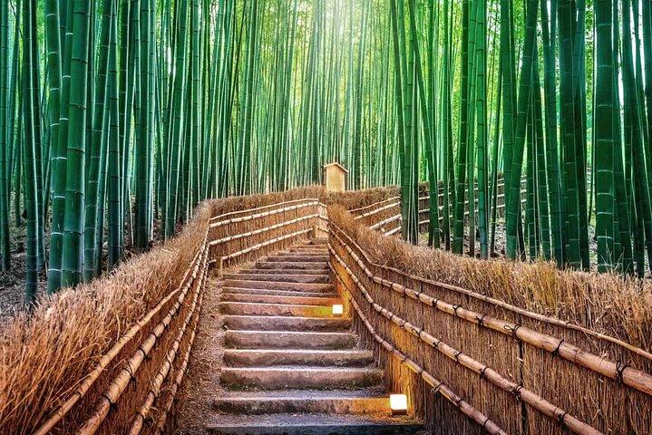 Kyoto & Nara Day Tour: Kinkakuji, Fushimi Inari & Nara Deer Park