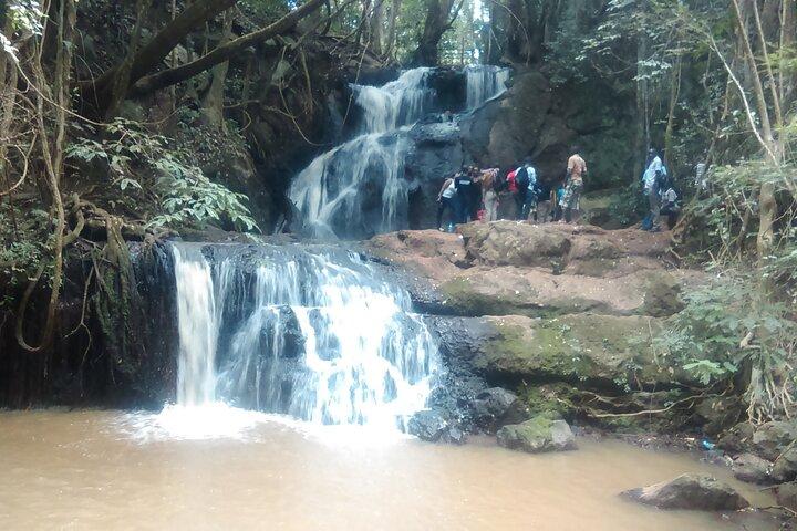 Nairobi Day Tour to Karura Forest