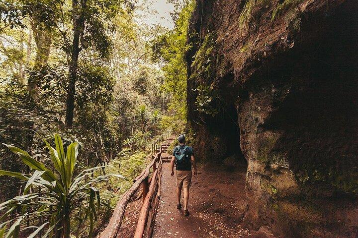Nairobi Day Tour to Karura Forest