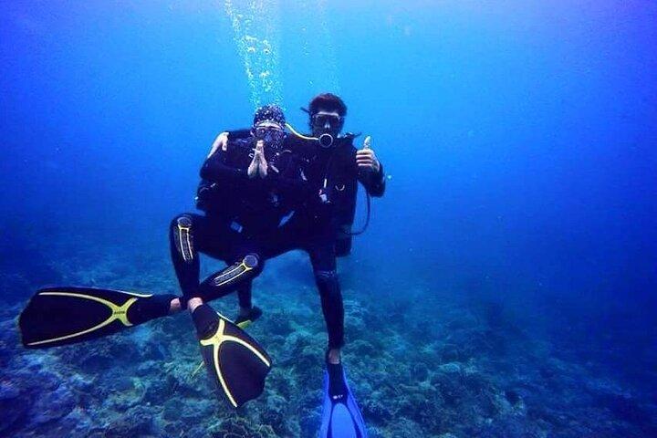 Explore Nha Trang Underwater: Coral Reef Scuba Diving