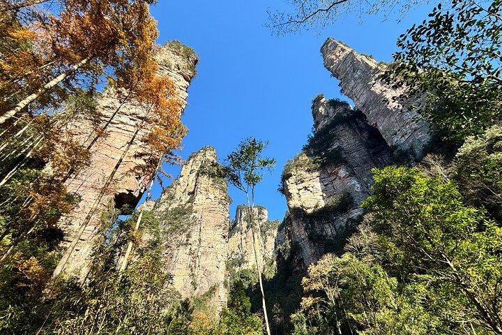 Zhangjiajie National Forest Park Ticket Booking