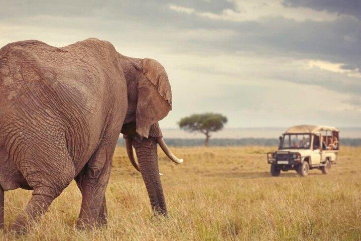6 Days Luxury Tanzania Lodge Safari