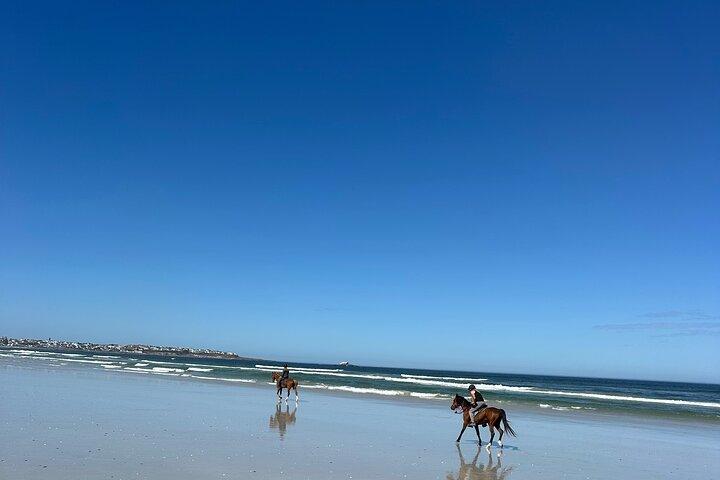 Beach Horse Ride in Yzerfontein, Western Cape