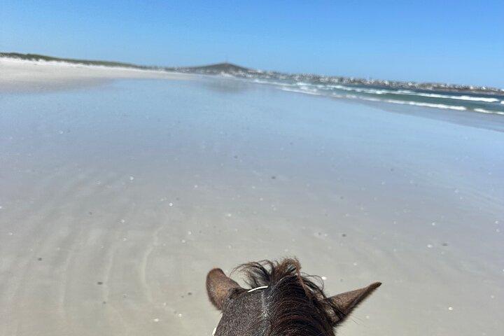 Beach Horse Ride in Yzerfontein, Western Cape