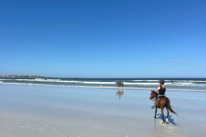 Beach Horse Ride in Yzerfontein, Western Cape