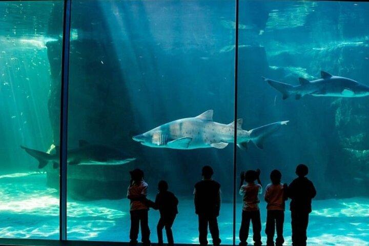 Two Ocean Aquarium, Waterfront Duck and Botanical Tour Inclusive
