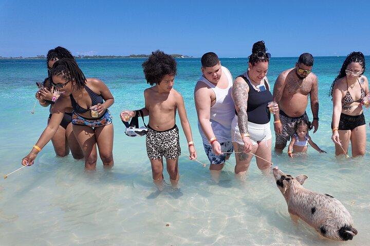 Swimming Pigs, Snorkeling and Beach Tour in Nassau Bahamas