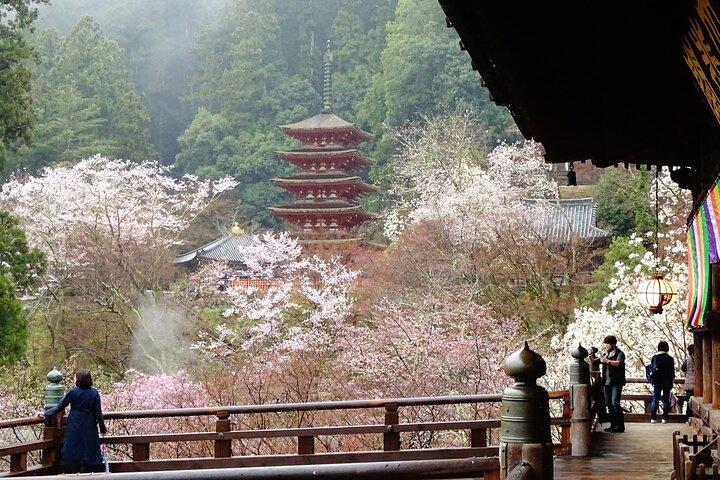 Kamakura and Yokohama Private Tour with Bilingual Chauffeur