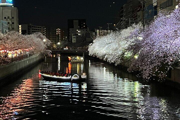 Cherry Blossom Viewing from a Boat: Tour in Yokohama Minato Mirai