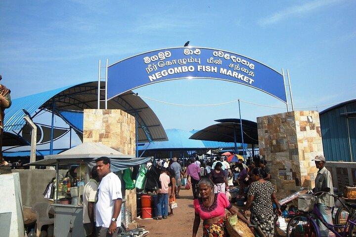 Negombo City Tour by TUK TUK with Rome
