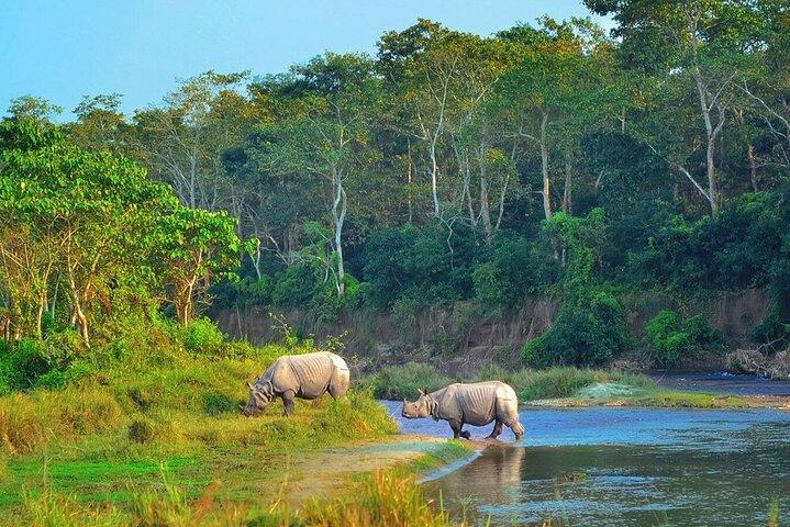 Chitwan Jungle Safari All-Inclusive Package 2 Nights 3 Days
