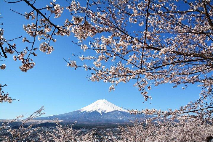 Mount Fuji and Hakone Customize Private Day Tour with Driver