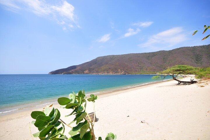Full Day Tour to Bahia Concha Beach in Tayrona Park