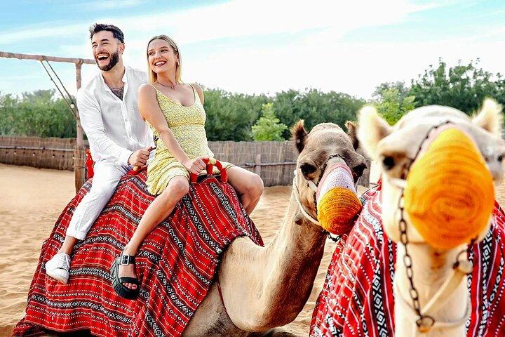 VIP Red Dune Safari with Live Shows & BBQ Dinner Camel Ride