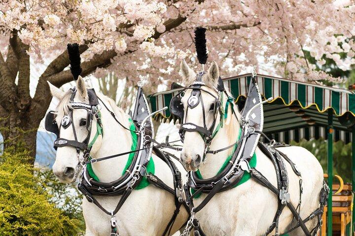 Stanley Park Horse Drawn Tour in Vancouver