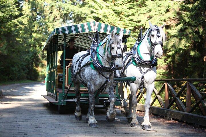 Stanley Park Horse Drawn Tour in Vancouver