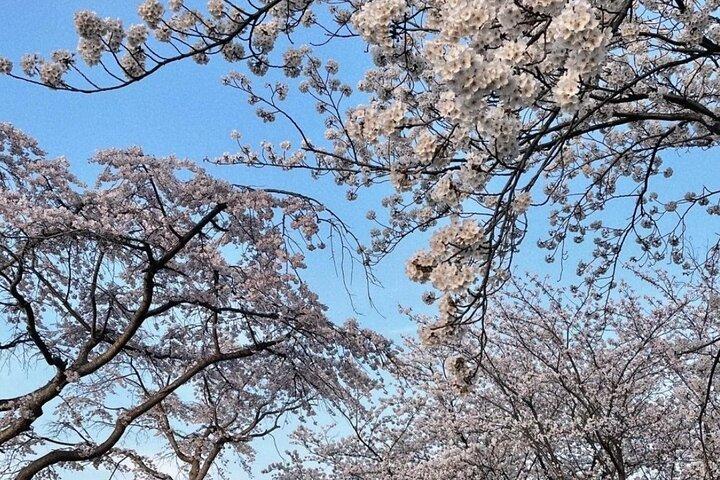From Seoul: Private Day Tour to Gangneung