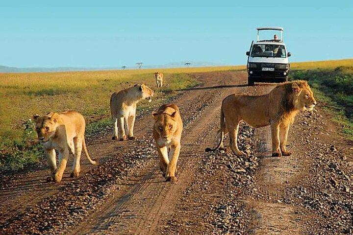 Shared Multi Day Safari in Tsavo National Park