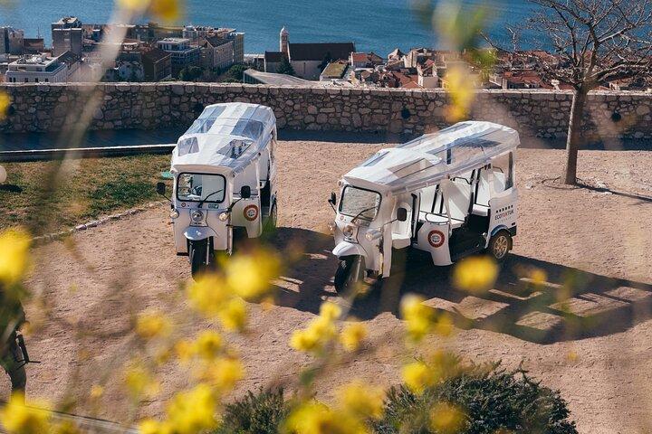 Šibenik Panorama and 3 Fortresses tour -entrance fees included