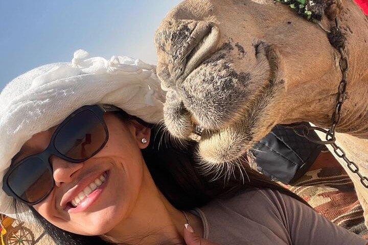 Sahara Desert Safari Experience and Sand Boarding From Cairo