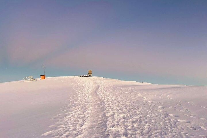 7 Days Machame Route Private tour