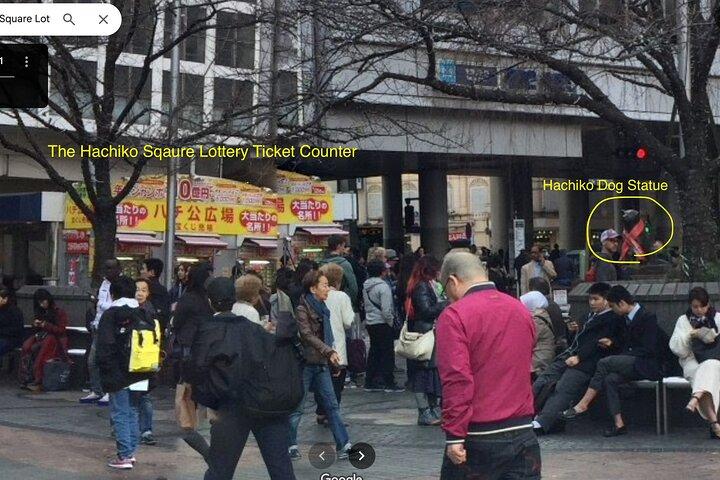 Tokyo Bar Hopping and Nightlife Tour Shibuya