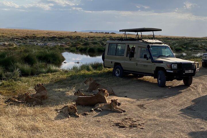 Wild Tanzania 7 Day Big Five Safari