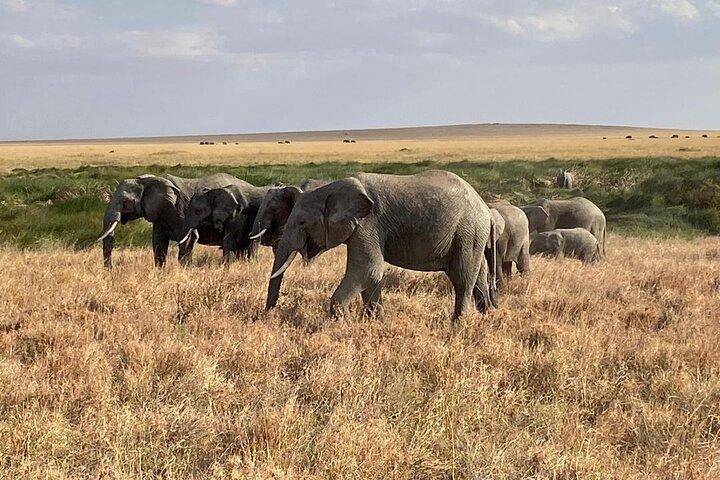 Wild Tanzania 7 Day Big Five Safari