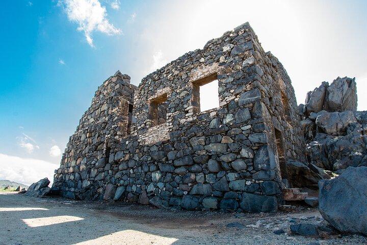 Customized Aruba Island Private Tour for All Ages