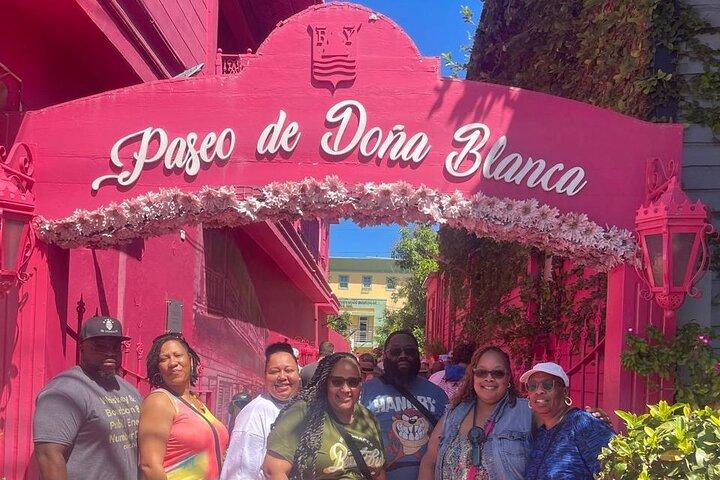 Half Day Puerto Plata City Tour and Monkey Home Visit