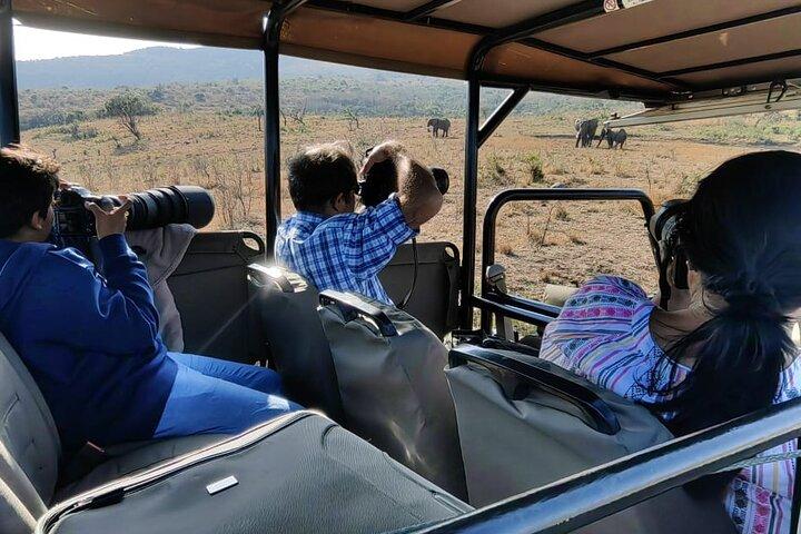 Safari Drive Hluhluwe Imfolozi Park South Africa