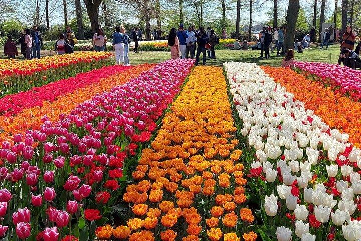 Amsterdam Private Custom Tour with Driver-Guide (3 Hours)