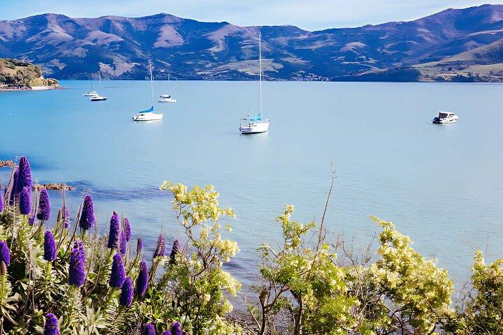 Akaroa Day Tour from Christchurch Return