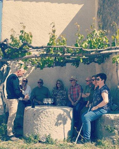 2 Wineries Small Group Tour with Free Hotel PickUp from Sitges