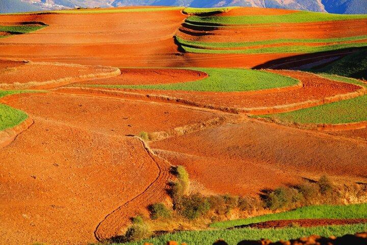 Dongchuan Red Land Private Tour