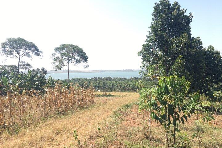 2-Hours village walk and Lake Victoria cruise from Entebbe